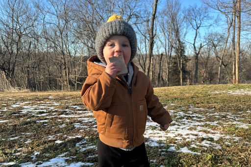 5 Benefits of Higher Fat and Protein for Kids