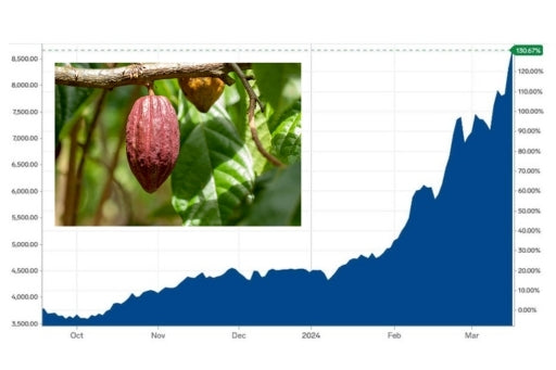 The Cocoa Crisis: How It’s Impacting Your Favorite Products