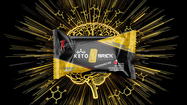 Tallow Nootropic Icing Keto Brick - Keto Brick LLC